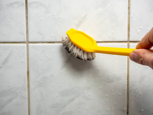Best Mold Cleaning Services  in Plainview, NE
